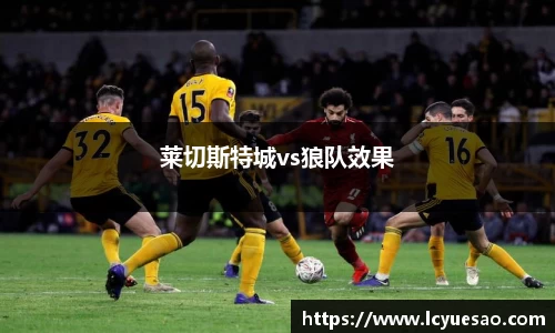 莱切斯特城vs狼队效果