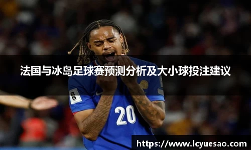 法国与冰岛足球赛预测分析及大小球投注建议